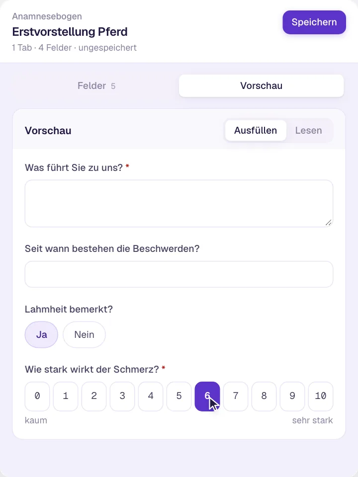 Anamnese & Befundbögen