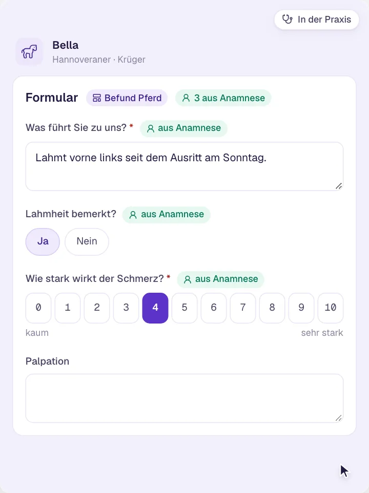Anamneseportal und Formulare