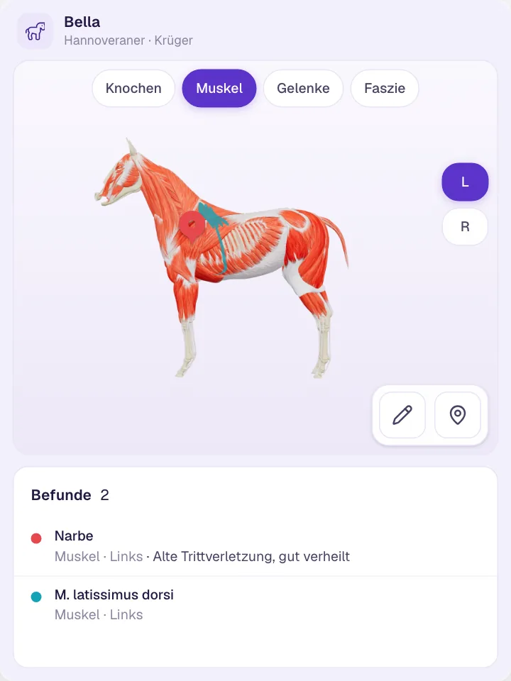 Individuelle Marker setzen
