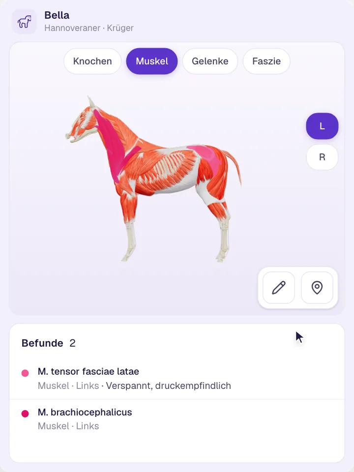 Visuelle Befundung