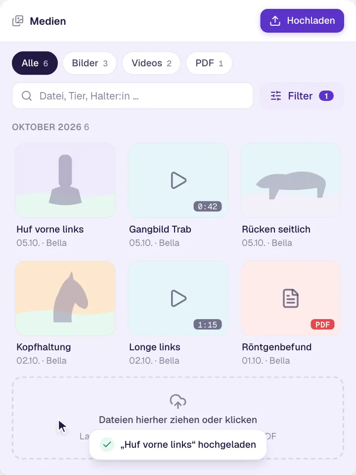 Bilder-, Video- und Dokumentenverwaltung