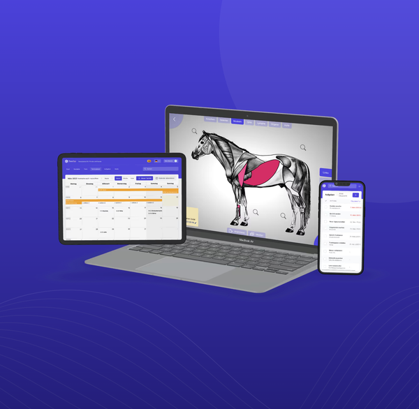 Optimale Unterstützung für mobile Therapeuten