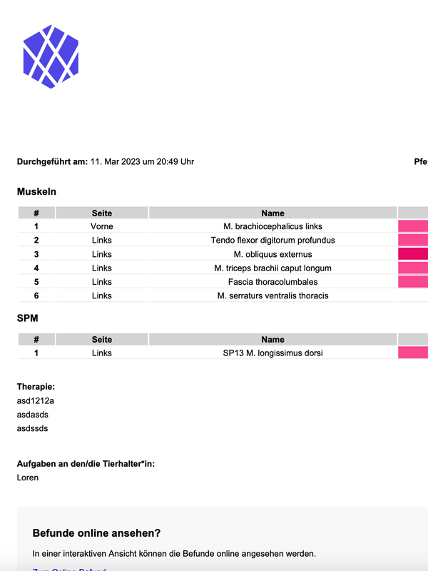 Komplette Befundung als PDF-Bericht