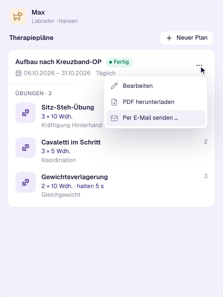Therapiepläne & Übungen